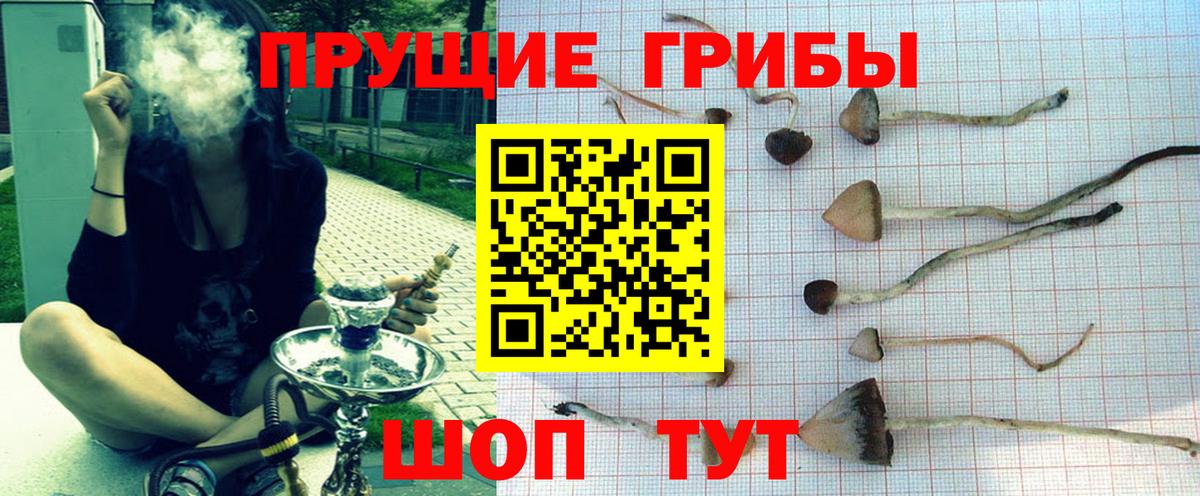 Морозовск  Псилоцибиновые грибы ЛСД  магазин продажи   Вход с VPN 